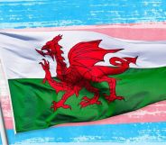 Welsh flag on a trans flag backdrop