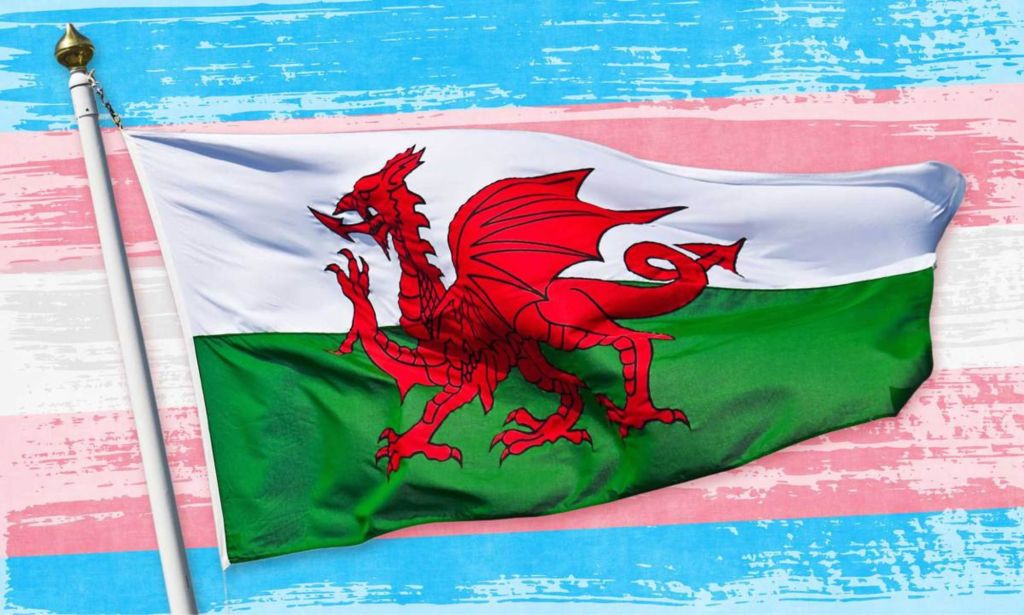 Welsh flag on a trans flag backdrop