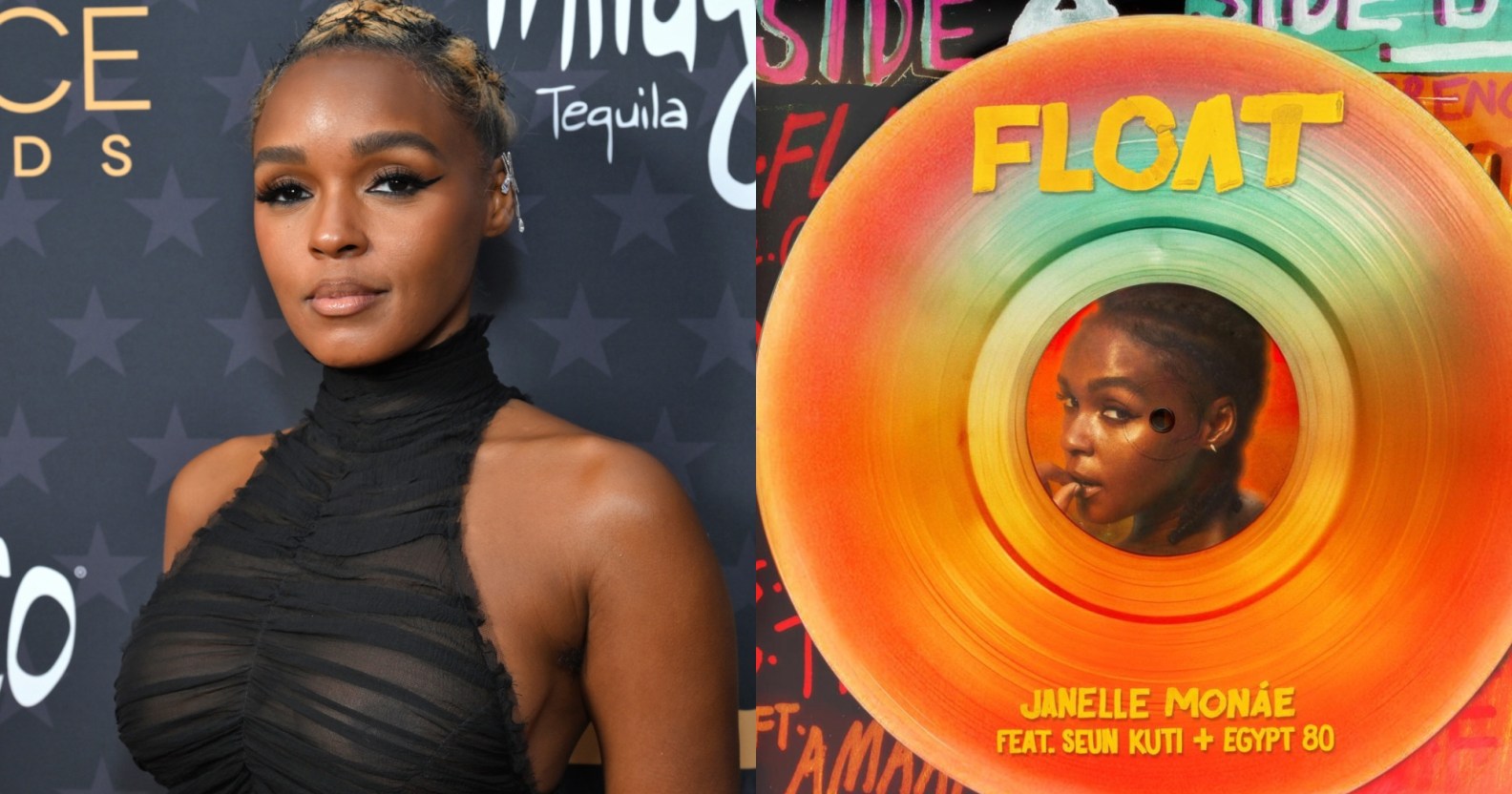 Janelle Monáe drops queer anthem Float and fans are gagged