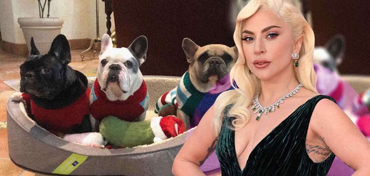 An image composite featuring Lady Gaga in the foreground in a black dress and silver necklace, and her French bulldogs in the background.
