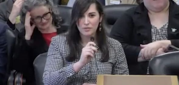 Gwendolyn Herzig looks shocked during a judiciary committee.