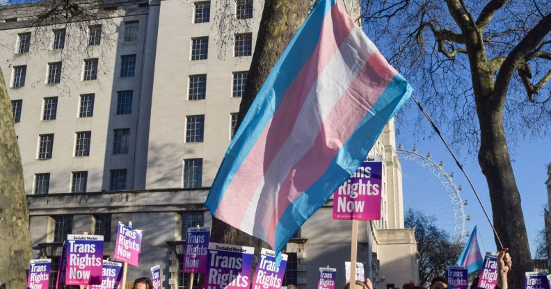 Activists wave a trans flag during protests.