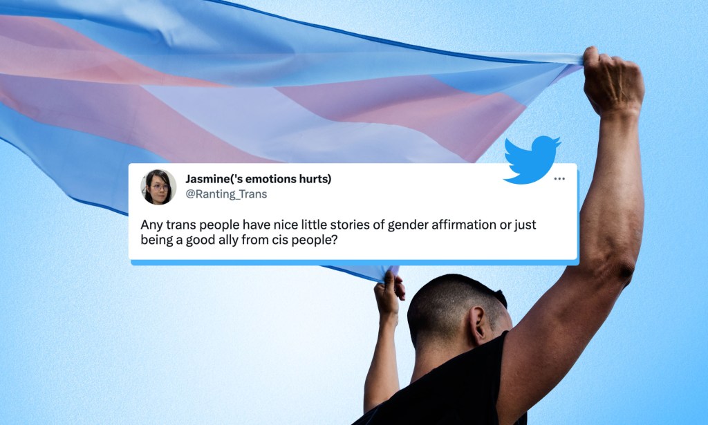 An activist holds up a trans flag with a photoshopped image of a tweet included.