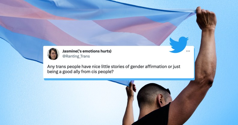 An activist holds up a trans flag with a photoshopped image of a tweet included.