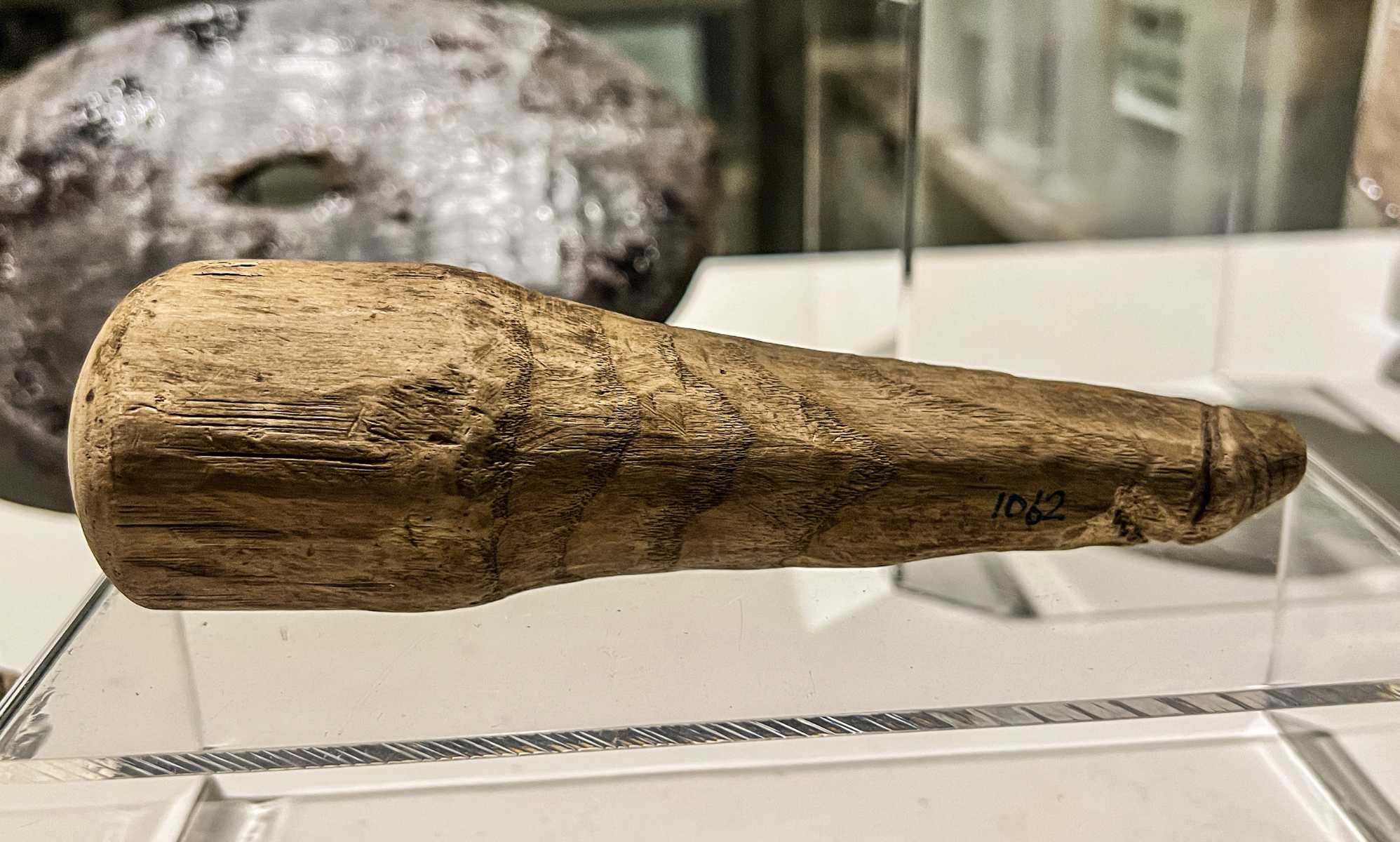 Ancient wooden penis could be a Roman dildo, scientists say
