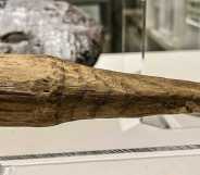 Wooden penis