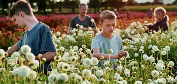 A still from the film Close shows four people standing in a field of dandelions