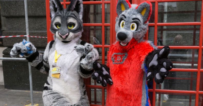 Gay furry hackers infiltrate nuclear lab for research into cat-girls