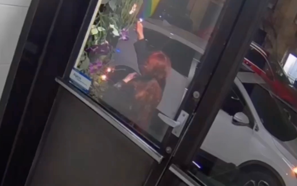 A woman sets fire to a Pride flag in New York