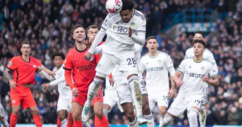 Leeds United v Brighton