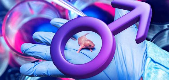 A scientist holds a baby mouse with a male sex symbol photoshopped above it.