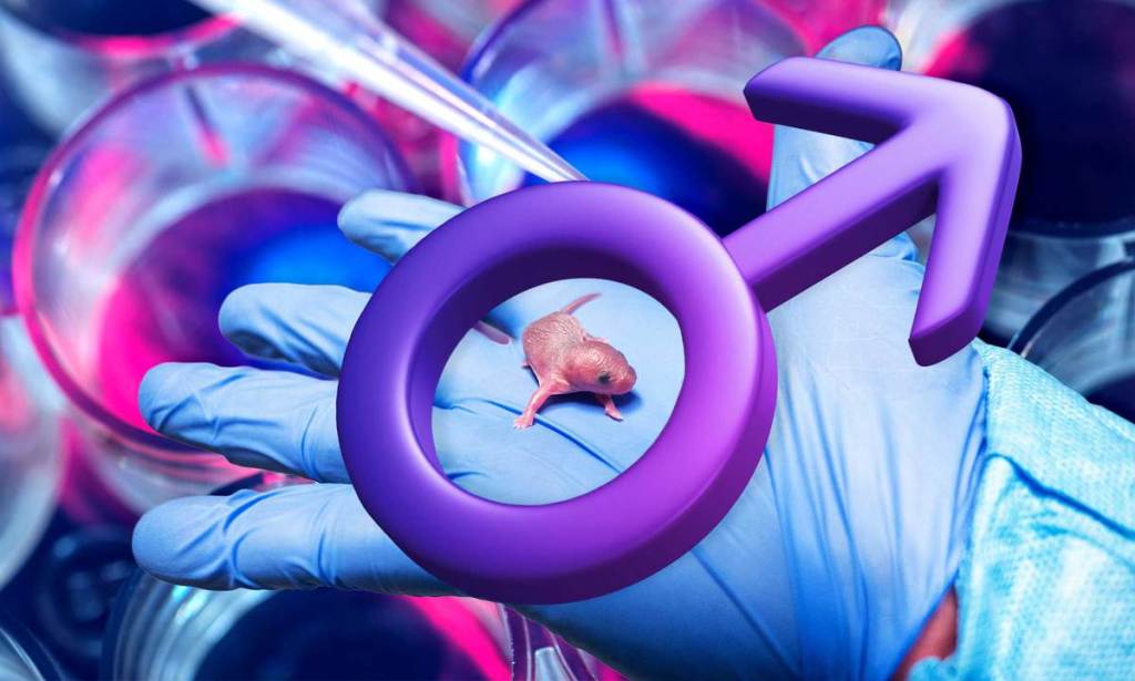 A scientist holds a baby mouse with a male sex symbol photoshopped above it.