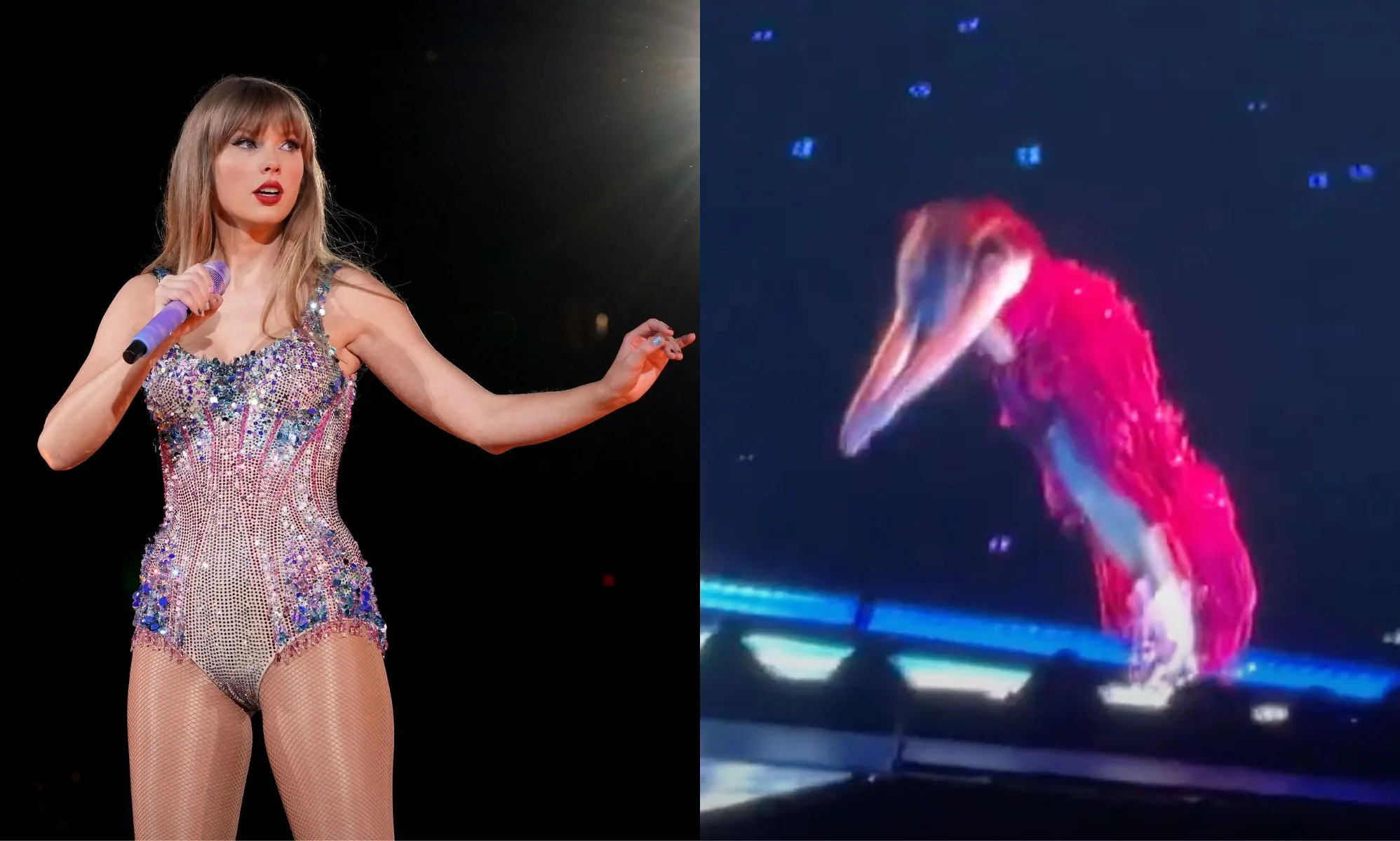 Taylor Swift gags fans with shock stage dive trick