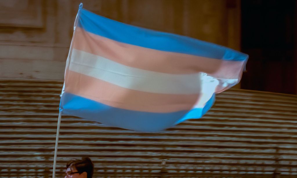 A person holds up a trans flag.