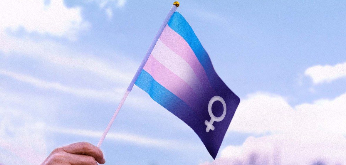A flag combining the trans colours and the woman symbol flying in the air