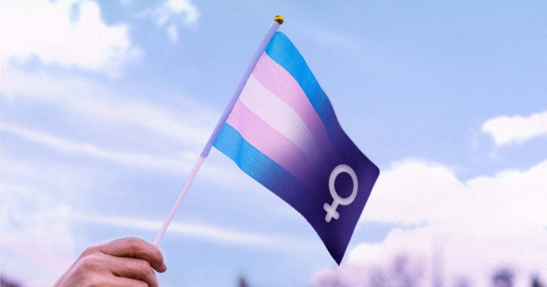 A flag combining the trans colours and the woman symbol flying in the air.