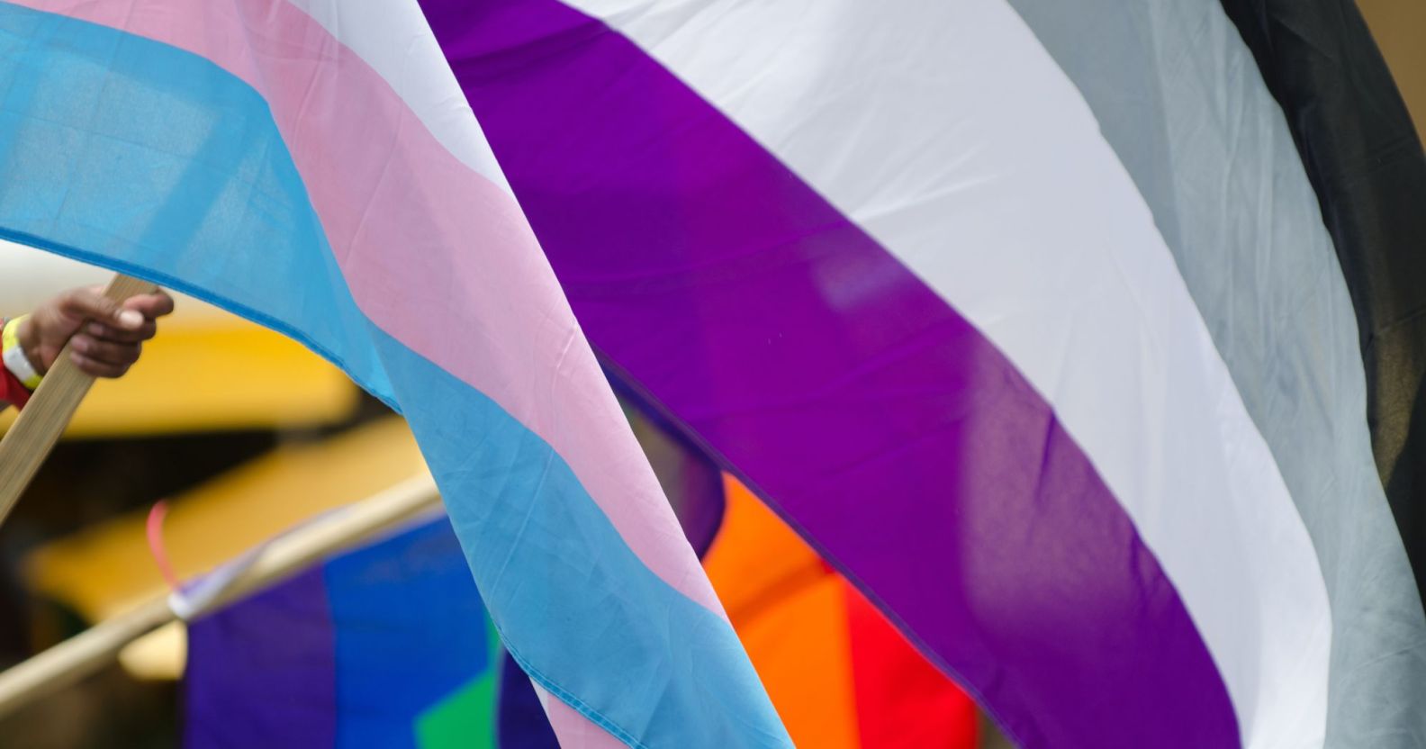 A trans and asexual flag waving together.