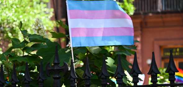 Trans Flag