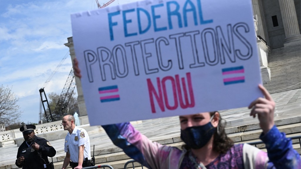 Protester holds up sign reading "federal protections now" with the trans flag