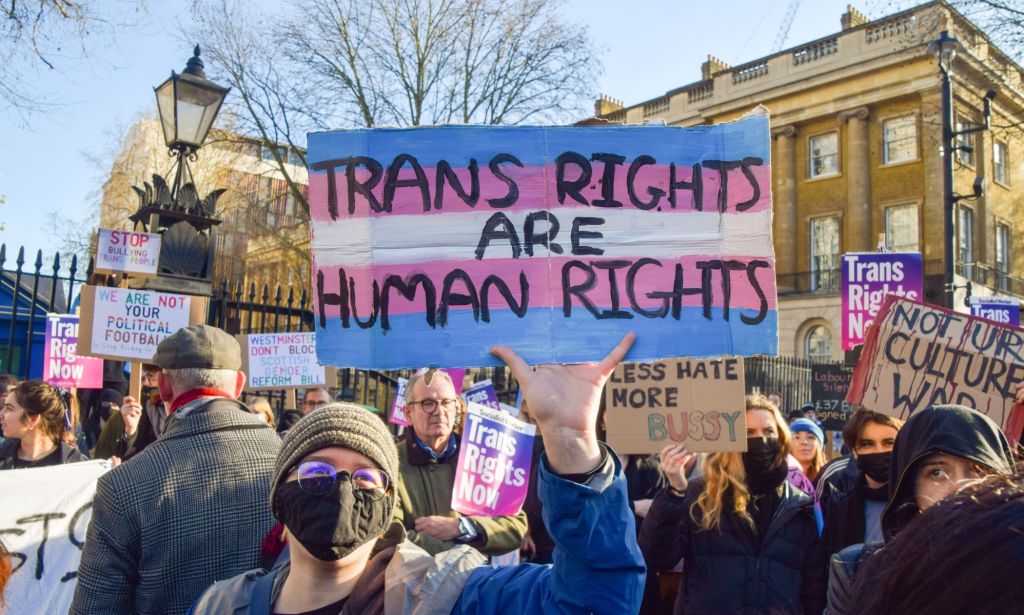 A person holds up a sign in the colours of the trans pride flag (blue, pink and white) with the words 'Trans rights are human rights' as a group lambast the Tory government's attempts to rollback trans rights and lack of funding for gender-affirming healthcare through the NHS