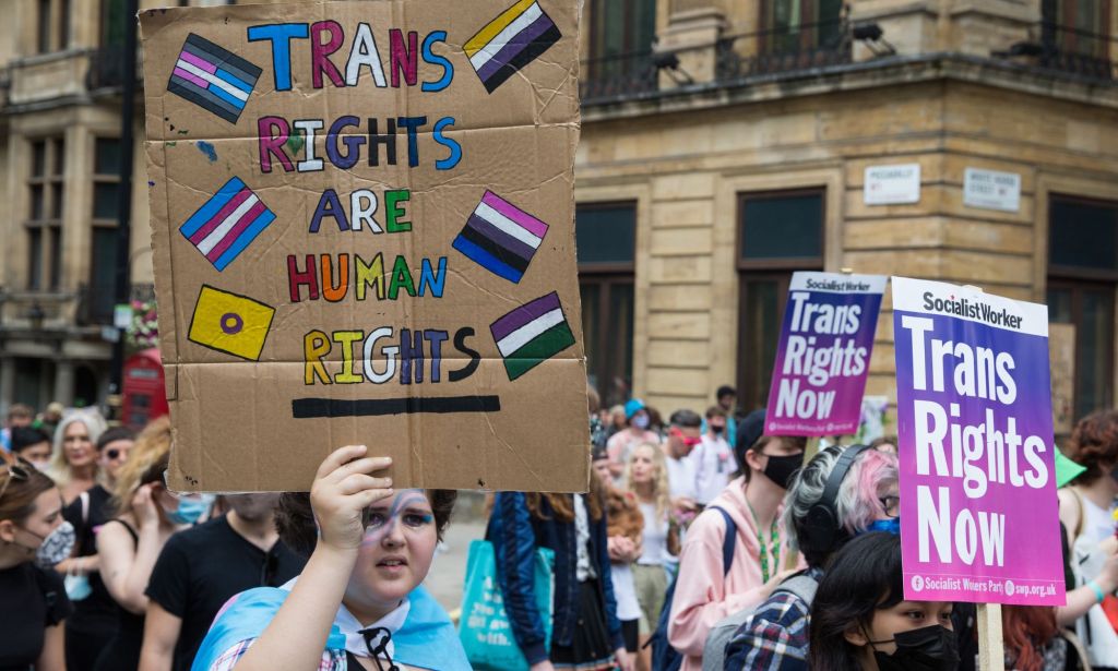 A person holds up a sign with the non-binary, trans, intersex, genderqueer, genderfluid flags on it reading 'trans rights are human rights' during a march