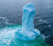 Giant penis iceberg goes viral after floating past a town called Dildo
