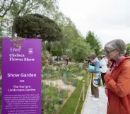 Woman seen looking at flowers next to a Chelsea Flower Show sign