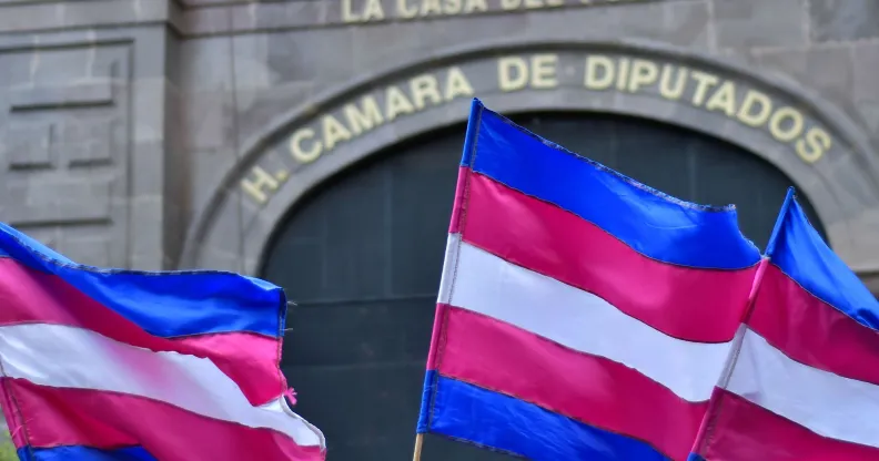 A set of trans flags waving around near the legislative branch of the State of Mexico.