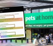 Pets At Home job application