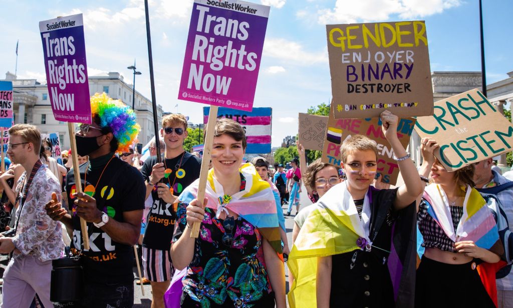 Activists signal their support of transgender rights during London Pride by waving signs reading "trans rights now."