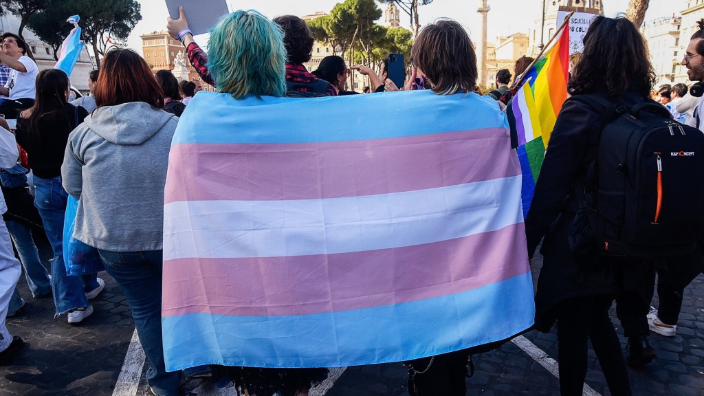 Two people walk away from the camera draped in a trans flag