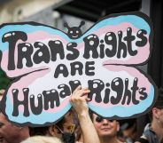 Person holds up a sign reading "trans rights are human rights"