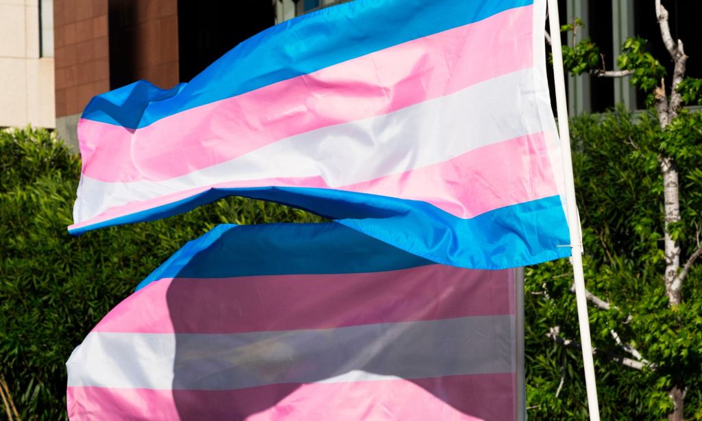 A picture of two trans flags waving in an open area.
