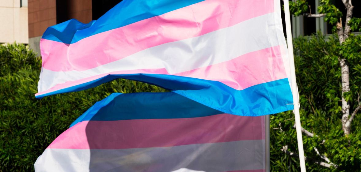 A picture of two trans flags waving in an open area.
