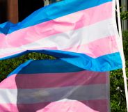 A picture of two trans flags waving in an open area.