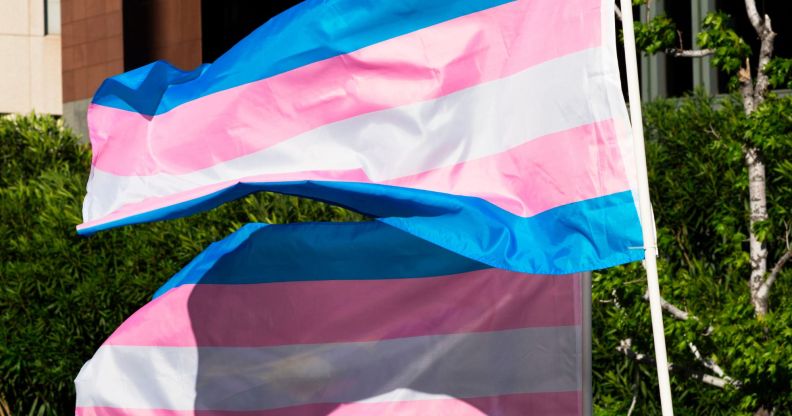 A picture of two trans flags waving in an open area.