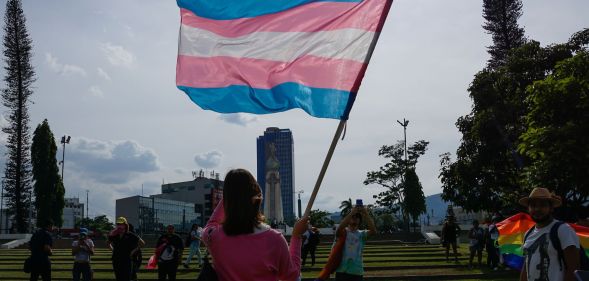 A person holding a trans flag in the sky.