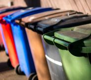 A set of UK wheelie bins, each a different colour, lined up against one another.