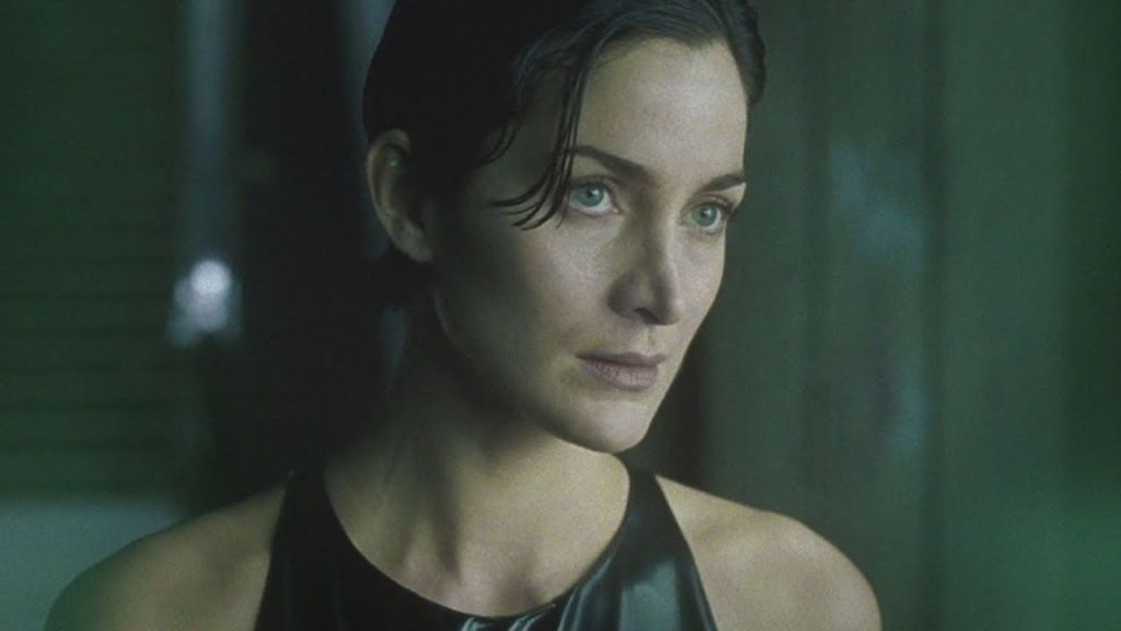 Carrie-Anne Moss as Trinity