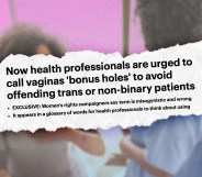 Screenshot of a Daily Mail article with the headline Now health professionals are urged to call vaignas bonus holes to avoid offending trans or non-binary patients
