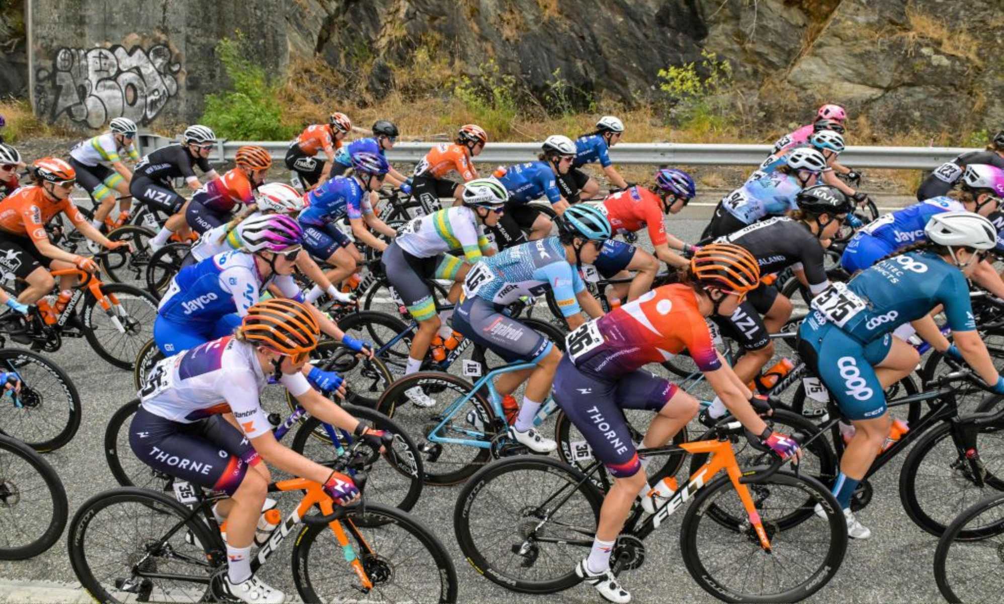 Riley Gaines slams pro-trans female cyclist as 'traitor to women