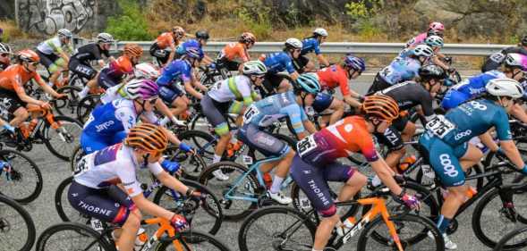 The peloton rides along Gorge Road during stage three of the Women's Tour Down Under UCI cycling event in Adelaide on January 17, 2023.