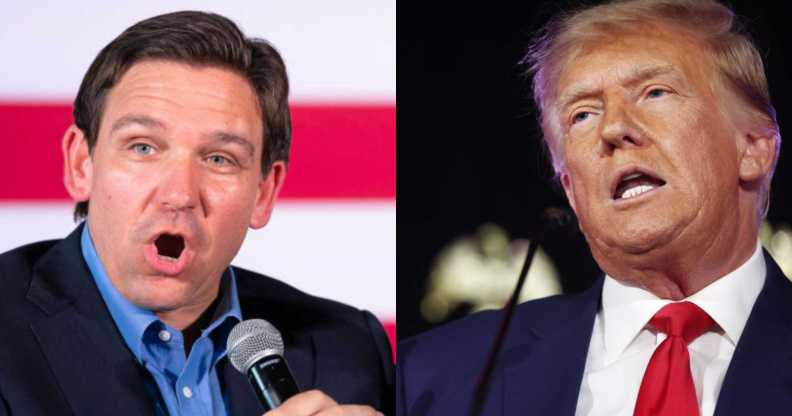 Ron DeSantis Donald Trump