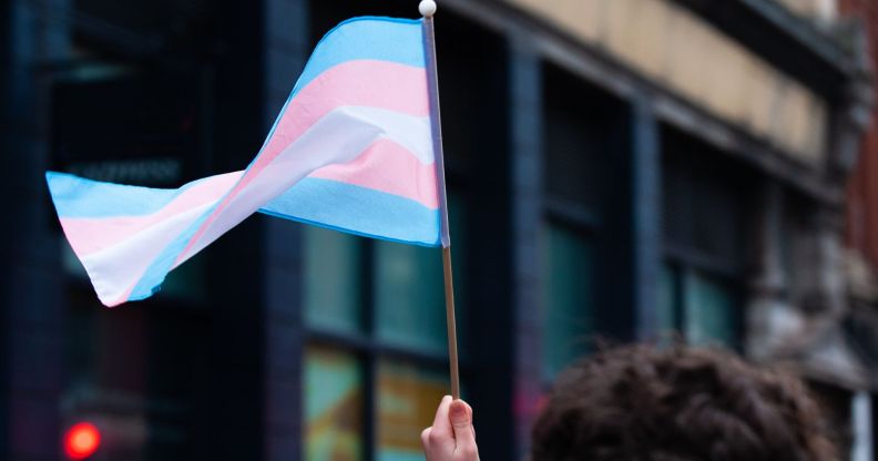 Stock image of a person holding a trans Pride flag