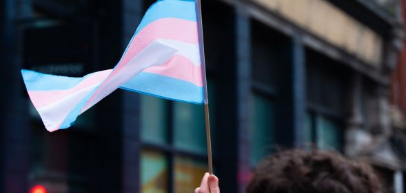Stock image of a person holding a trans Pride flag