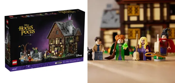 Lego is releasing a Hocus Pocus set featuring the Sanderson sisters' cottage.