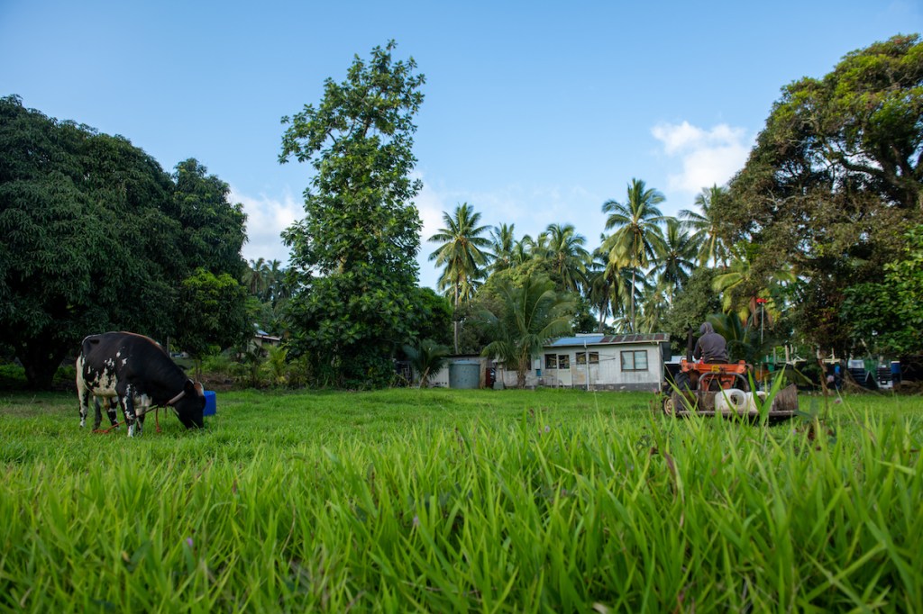A general view of Rarotonga.