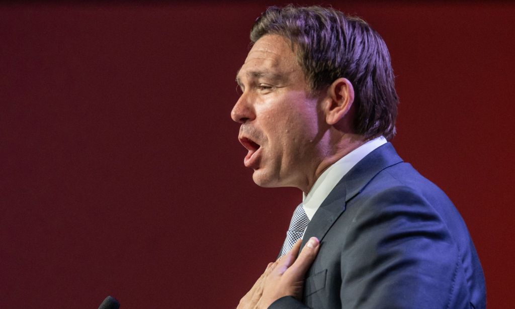 Florida Governor Ron DeSantis during a press conference.