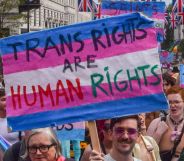 A person holds up a sign reading "trans rights are human rights" in a crowd of activists.