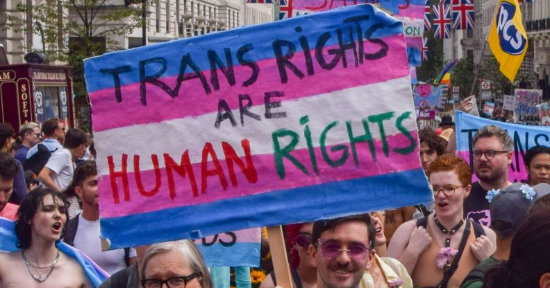A person holds up a sign reading "trans rights are human rights" in a crowd of activists.